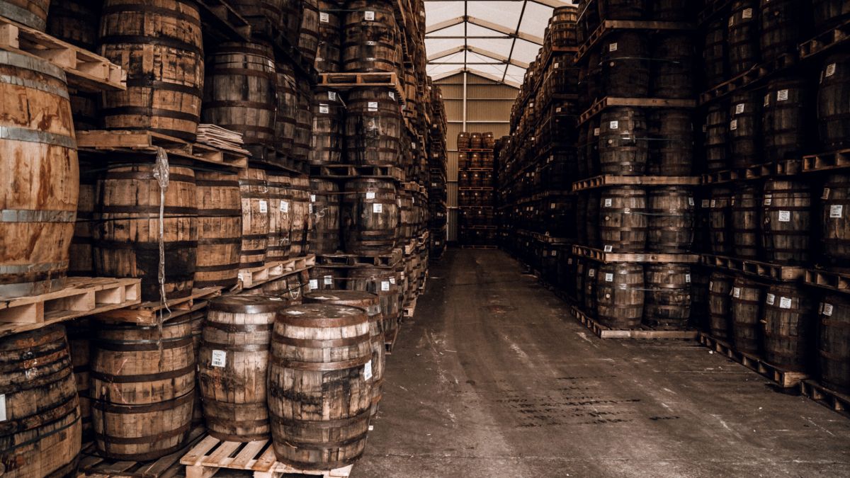 Many barrels of artisan whiskey on shelves