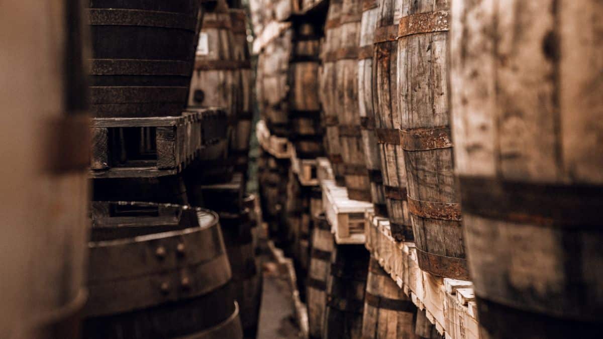 Many old barrels of artisan whiskey