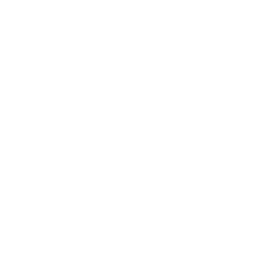Michelin logo for The Craft Irish Whiskey Co.