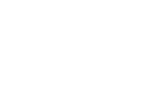 The Nth Degree Global logo for the Craft Irish Whiskey Co.